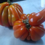 Local Heirloom Tomatoes