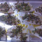 Tilapia with Caper-Olive Relish