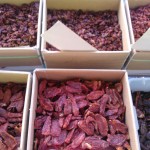 Vats of Sundried Tomato Varieties