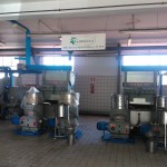 Current Olive Oil Factory