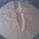 Homemade Pizza/Focaccia Dough