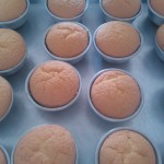 Individual Spongecakes