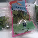 Italian parsley, mint & basil for the Orzo