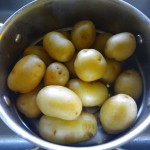 Baby yellow potatoes cooked until tender in simmering water