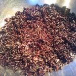 A bowl of cooked black rice