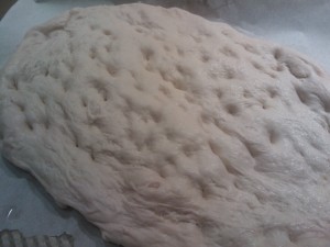 The pizza dough, ready to be topped