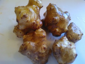 Sunchokes, or Jerusalem Artichokes