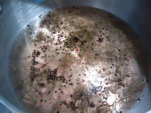 The brining liquid for the cucumbers