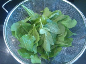 The mixture of fresh rocket and fresh mint